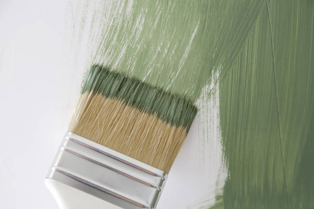 Best Mold Documentation for Insurance Claims  in Garwood, NJ