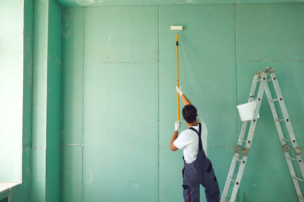 Best Mold Odor Removal Services  in Garwood, NJ