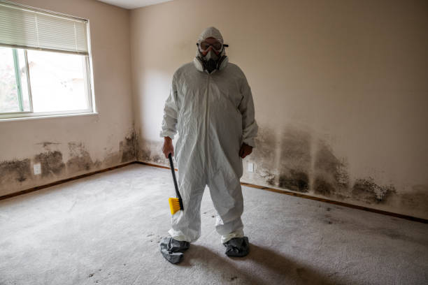 Best Mold Removal for HVAC Installations  in Garwood, NJ