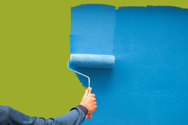 Best Basement Mold Removal  in Garwood, NJ